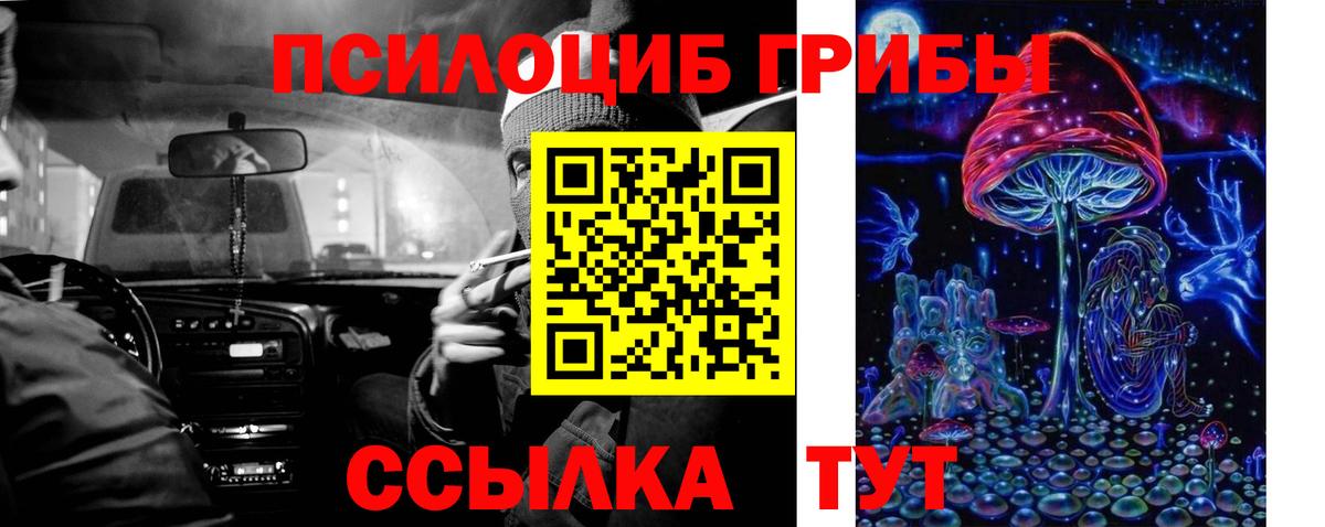 Волгодонск  Псилоцибиновые грибы GOLDEN TEACHER  Вход с VPN 